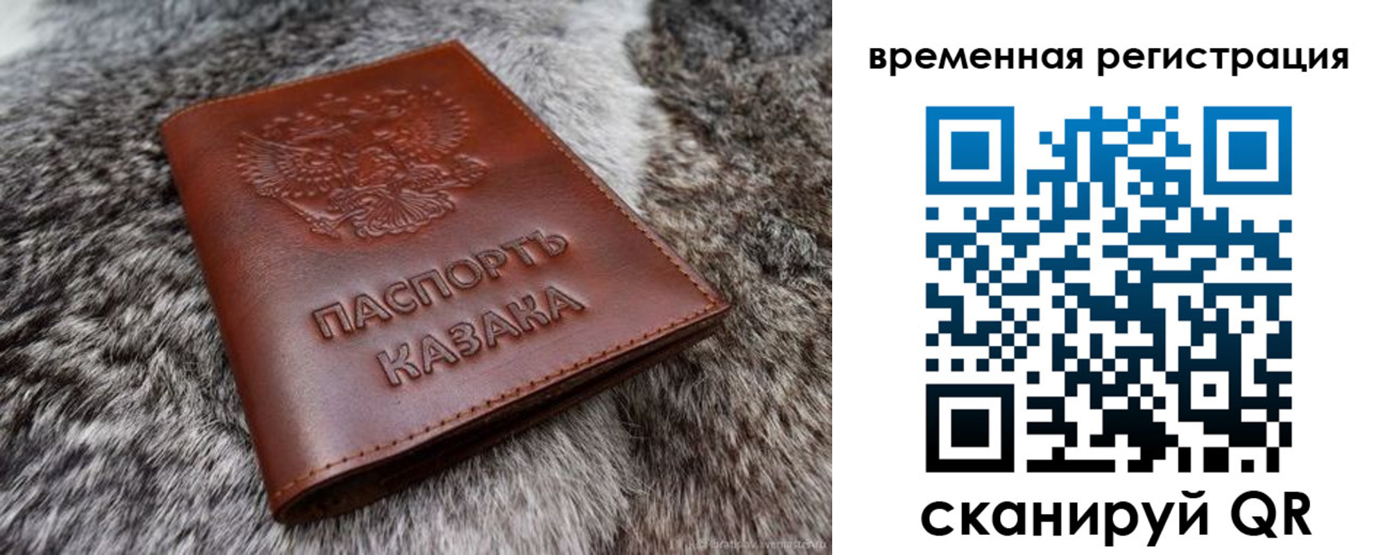 прописка 2025 в Катайске